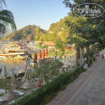 фото из отзыва ID 2728533