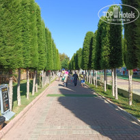 фото из отзыва ID 2728543