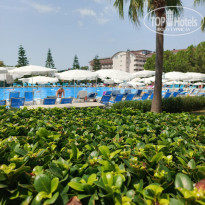 фото из отзыва ID 2728543