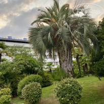 фото из отзыва ID 2728556