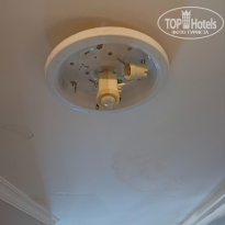 фото из отзыва ID 2728562