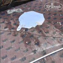 фото из отзыва ID 2728562