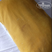 фото из отзыва ID 2728562