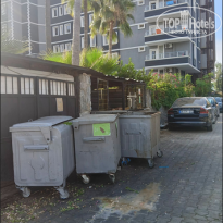 фото из отзыва ID 2728562