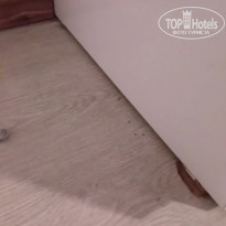 фото из отзыва ID 2728562