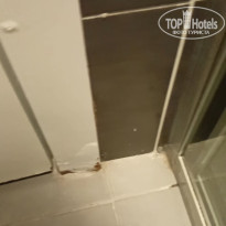 фото из отзыва ID 2728562