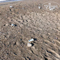 фото из отзыва ID 2728562