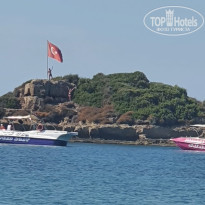 фото из отзыва ID 2728563