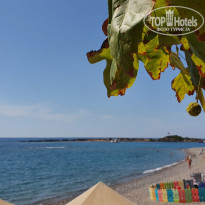 фото из отзыва ID 2728563