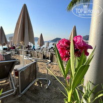 фото из отзыва ID 2728569