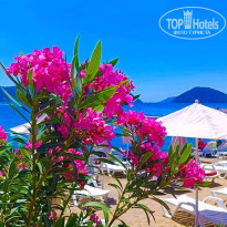 фото из отзыва ID 2728569