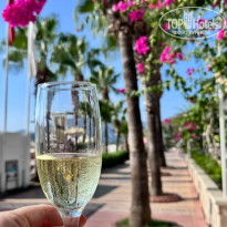 фото из отзыва ID 2728569