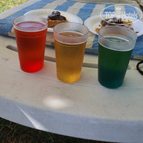 фото из отзыва ID 2728563