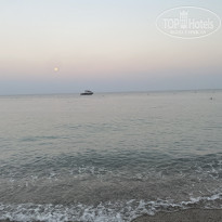 фото из отзыва ID 2728573