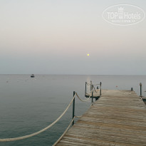 фото из отзыва ID 2728573