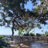 фото из отзыва ID 2728573