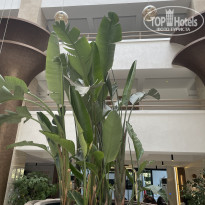 фото из отзыва ID 2728573