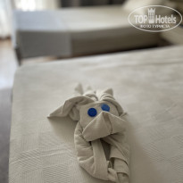 фото из отзыва ID 2728573