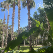 фото из отзыва ID 2728573