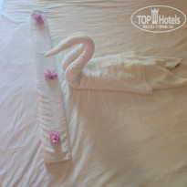 фото из отзыва ID 2728448