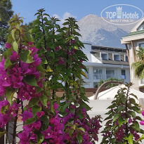 фото из отзыва ID 2728592