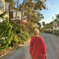 фото из отзыва ID 2728591