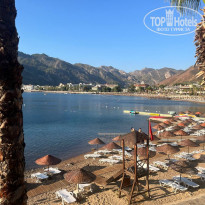 фото из отзыва ID 2728591