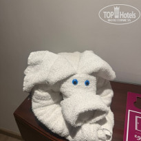 фото из отзыва ID 2727353