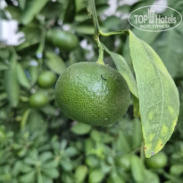 фото из отзыва ID 2728611