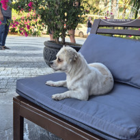 фото из отзыва ID 2728611