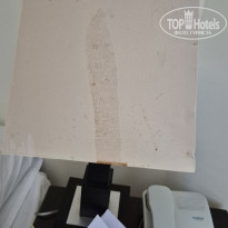 фото из отзыва ID 2728611