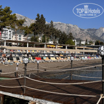 фото из отзыва ID 2728644