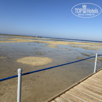 фото из отзыва ID 2728646