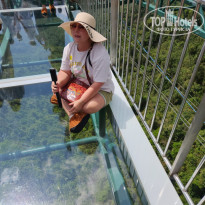 фото из отзыва ID 2728619