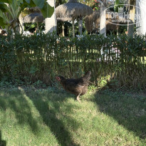 фото из отзыва ID 2728638