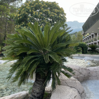 фото из отзыва ID 2728653