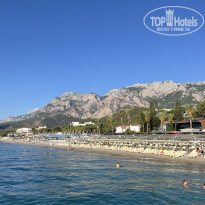 фото из отзыва ID 2728653