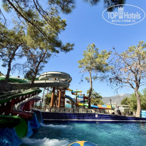 фото из отзыва ID 2728659