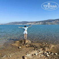 фото из отзыва ID 2728659