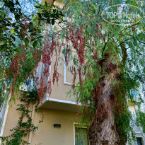 фото из отзыва ID 2728659