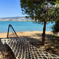 фото из отзыва ID 2728659