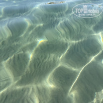 фото из отзыва ID 2728661