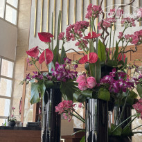 фото из отзыва ID 2728661