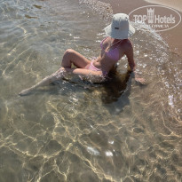 фото из отзыва ID 2728661