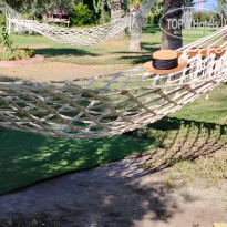 фото из отзыва ID 2728660