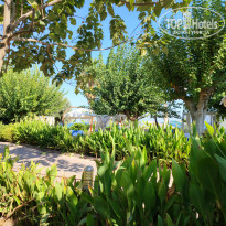 фото из отзыва ID 2728660