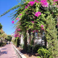 фото из отзыва ID 2728660