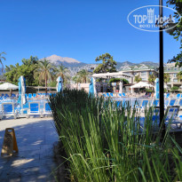 фото из отзыва ID 2728660