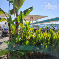 фото из отзыва ID 2728660