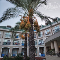 фото из отзыва ID 2728660